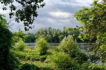 Loire river bank near Chateauneuf-sur-Loire city