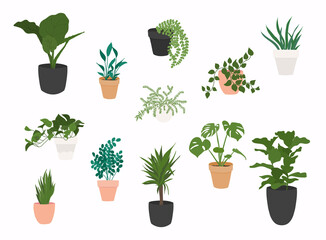 Set of plants growing in pots. Flowerpot isolated objects, houseplant flower pot collection.