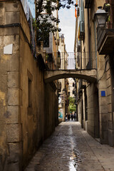 Fototapeta premium alley of the gothic quarter in barcelona