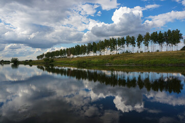 Mirror of the lake. Birches and clouds are reflected in the water. Summer landscape