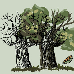 Illustration of an oak tree with a green crown and one fallen leaf, leafless trunk in the background 