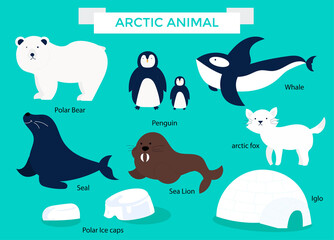 Flat design arctic animal set bundles illustration vector