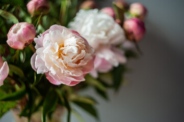 Bouquet of peonies. Pink and white peonies. Macro photo. Selective focus. Artistic style.