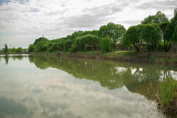 Forest and summer lake in sunset rays