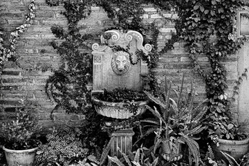 Photos of classic English landscaping in black and white.