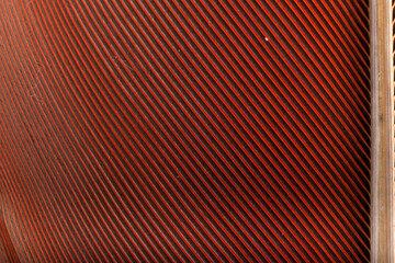 Beautiful Bright Red Parrot Feather Close up Detail Texture. Abstract Pattern Background