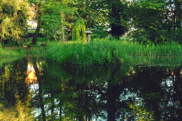 Rzeka Czerna przepływająca przez park w mieście Iłowa w Polsce.