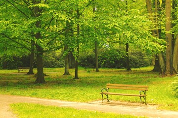 Samotna ławka w parku w mieście Iłowa w Polsce.