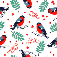 Christmas pattern with bullfinches. Seamless pattern with birds, leaves and rowan berries on white.
