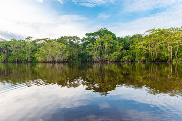 Fototapeta na wymiar Amazon Rainforest reflection in a lagoon. The Amazon river basin comprise the countries of Brazil, Bolivia, Colombia, Ecuador, Guyana, Suriname, Peru and Venezuela.