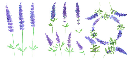 summer watercolor lavender pack