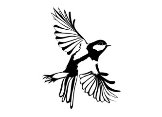 M&eacute;sange seul en noir et blanc