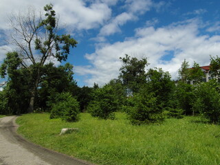 Beautiful summer landscape by the water surface on a Sunny summer day