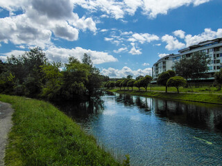 Fototapeta premium Beautiful summer landscape by the water surface on a Sunny summer day
