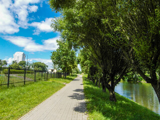 Beautiful summer landscape by the water surface on a Sunny summer day