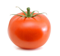 one red ripe tomato isolated on white background