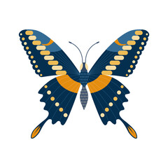 Colorful Tropical Butterfly Moth Icon in Cartoon
