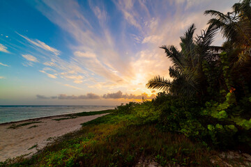 Scenic sunset in Bois Jolan beach in Guadeloupe