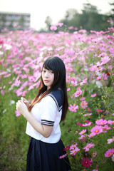 Portrait of Japanese school girl uniform with pink cosmos flower