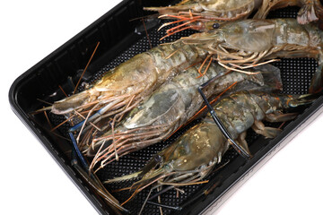 Raw prawn isolated in white baackground