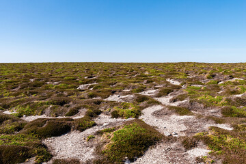Cap de la Chèvre dans la Presqu’île de Crozon