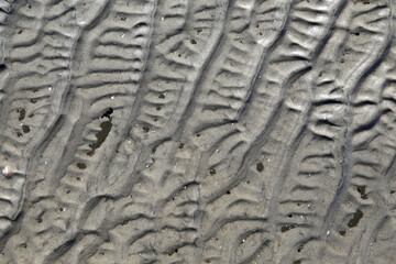 Nordsee, Wattenmeer, detail aufnahme von Strand bei ebbe
