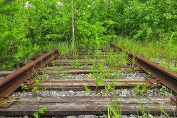 Vintage railroad route and old rails in the woods. Stop way