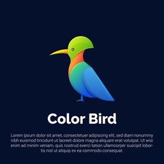 Vector illustration of colorful bird logo, icon, sticker design template