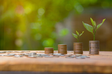 Saving money puting coins in jug glass on nature background