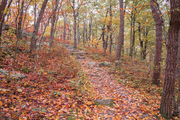 Appalachian Trail at High Point State Park NJ with brilliant fall foliage 