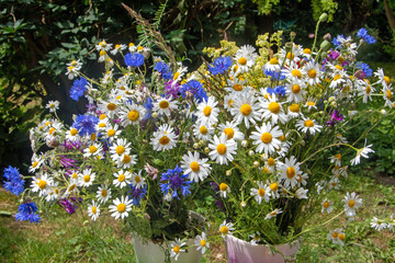 Wildblumenstrauß im Sommer im Garten