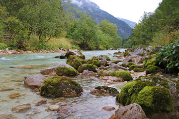 Colorful Krnica river in Krnica valley near Kranjska gora in Triglav national park in Slovenia.