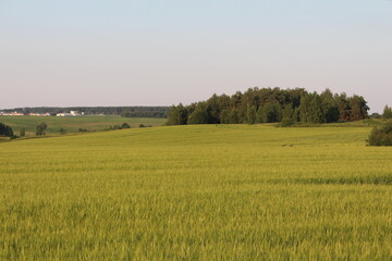 Поля и леса