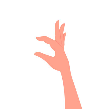 Hand holds. Hand gesture, hold with two fingers. Vector illustration, flat cartoon design, eps 10. Concept: hold, take, demonstrate, decoration, decoration, attribute, gesture for inserting objects.