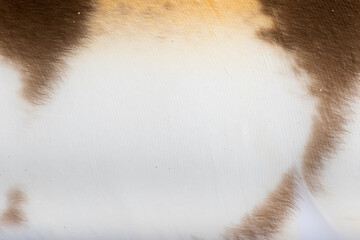 Beautiful Bright Brown, Orange, Black and White Barn Owl (Tyto alba) Feather Close up Detail Texture. Abstract Pattern Background