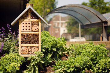 Bee and insect hotel in a city enviroment.