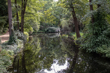 View from the jungle-like Leipzig Riverside Forest with the rivers Weisse Elster and Luppe with wild river landscapes, Germany