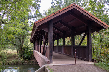 View from the jungle-like Leipzig Riverside Forest with the rivers Weisse Elster and Luppe with wild river landscapes, Germany
