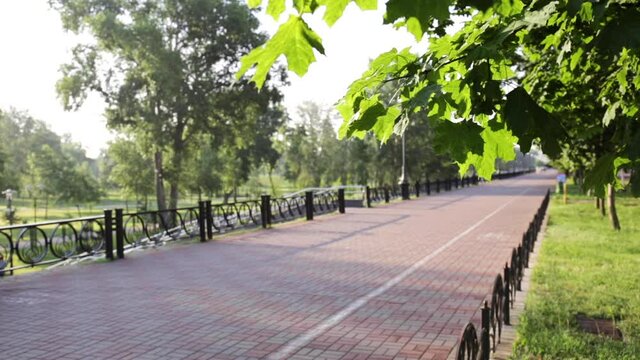 Wind Blowing Through Green Leaves In Park