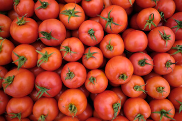 Tomato delicious red fresh ripe juicy healthy food
