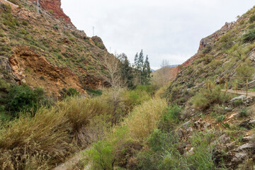 canyon where a river passes