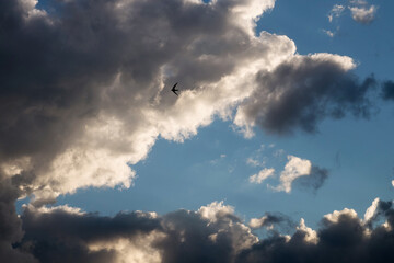 Beautiful sunset sky above the clouds with dramatic light. Sunset with dramatic clouds. The clouds.