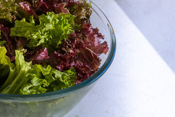 Mixed green and red lettuce in large glass bowl