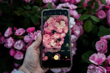 mobile phone with flower