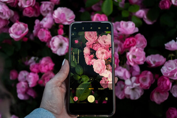 mobile phone in hand