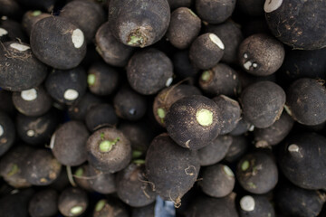 Black turnip delicious fresh ripe juicy healthy food