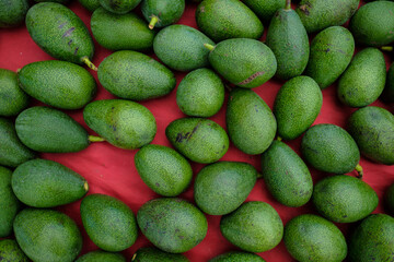 Green avocado on a red background delicious fresh ripe juicy healthy food