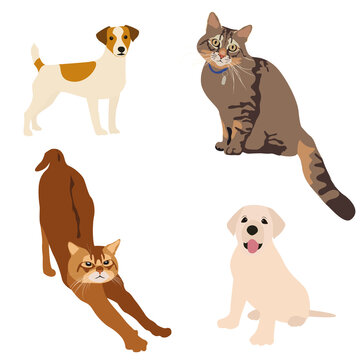 vector image. the illustration depicts four cute animals that are sitting in comfortable poses. Animals are different and with different colors