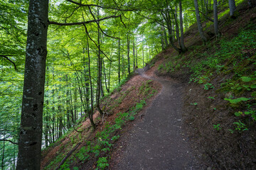 Schweiz im Weisstannental im Sommer