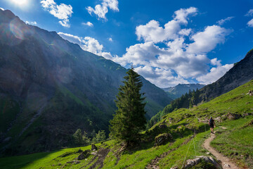Fototapeta premium Schweiz im Weisstannental im Sommer